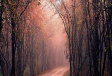 莱万:我的身体状况非常好;为巴萨打入百球是目标和梦想.