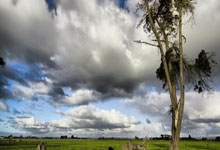 莱万：我的身体状况非常好；为巴萨打入百球是目标和梦想.