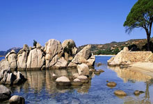 莱万：我的身体状况非常好；为巴萨打入百球是目标和梦想.